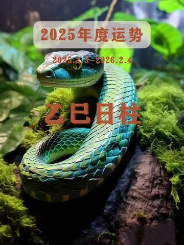 乙巳 五行|这几种人202乙巳年运势好